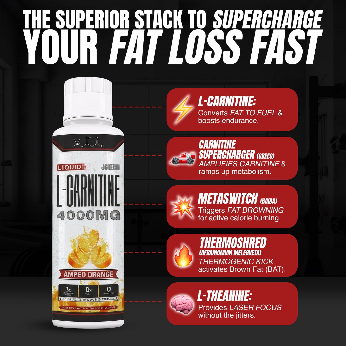 Liquid L-Carnitine 4000MG