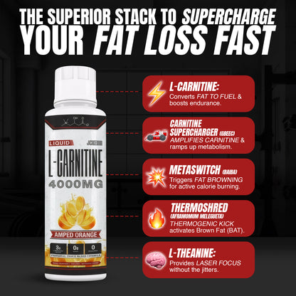 Liquid L-Carnitine 4000MG