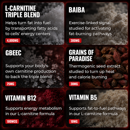 Liquid L-Carnitine 4000MG