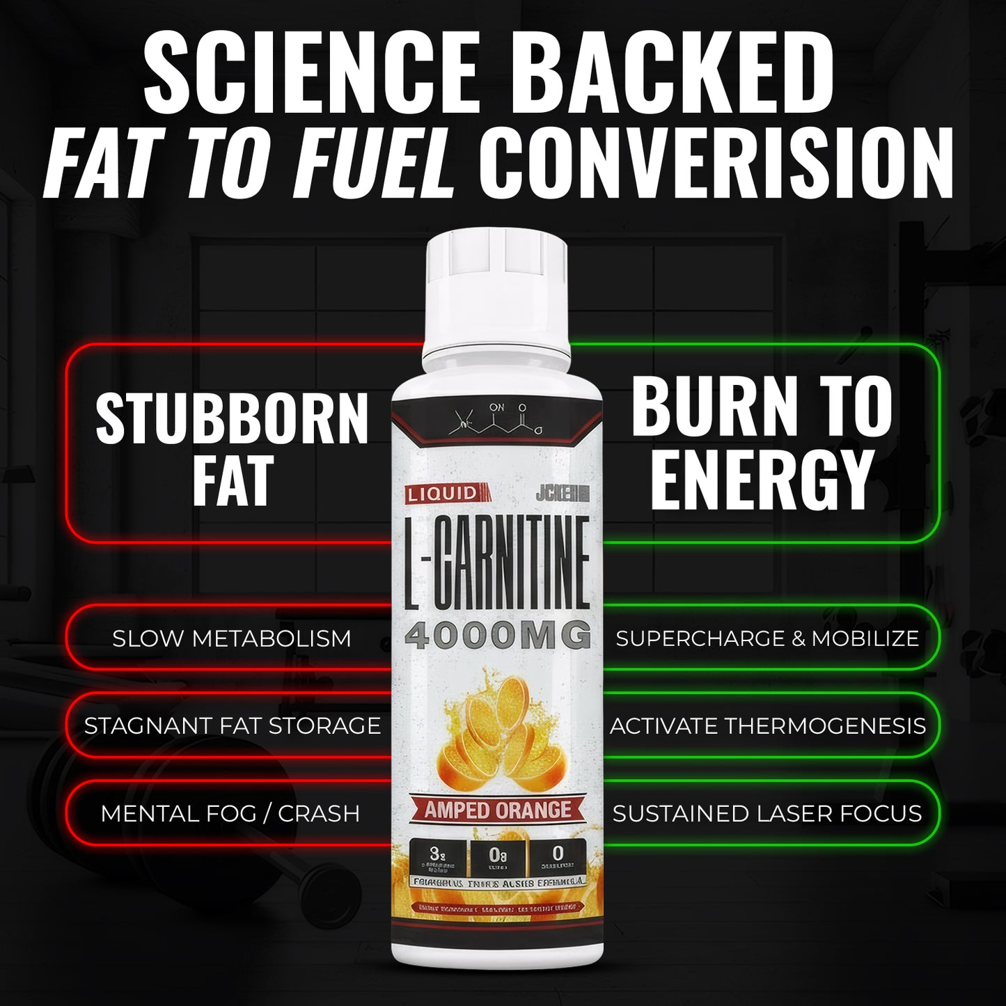 Liquid L-Carnitine 4000MG