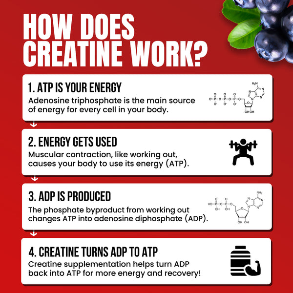 Flavored Creatine Monohydrate (Final Call)