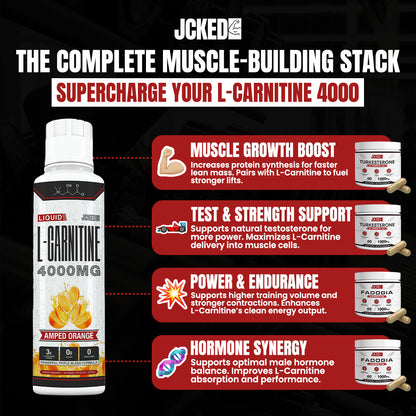 stack quadralean and l-carnitine Amazon.com: RSP Nutrition - Stimulant Free Weight Management, Metabolism Booster, Energy & Appetite Support CLA & L-CARNITINE V-Shape