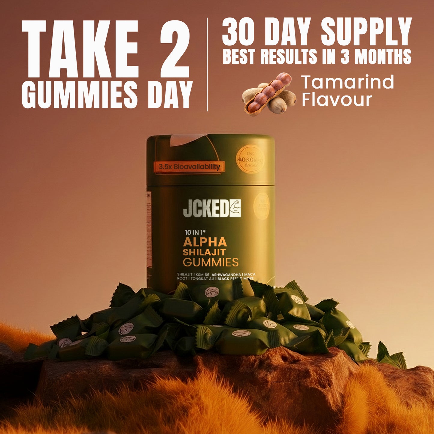 10-IN-1 Alpha Shilajit Gummies