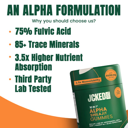 10-IN-1 Alpha Shilajit Gummies