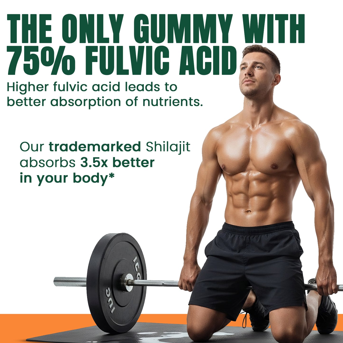 10-IN-1 Alpha Shilajit Gummies