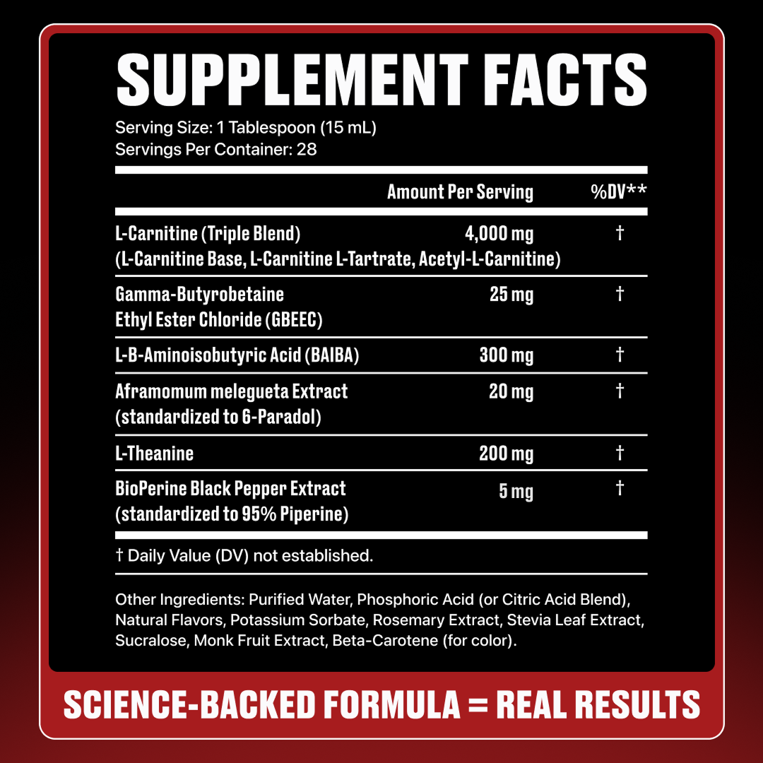 Liquid L-Carnitine 4000MG