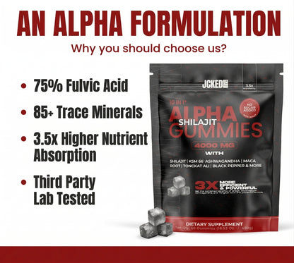10-IN-1 Alpha Shilajit Gummies