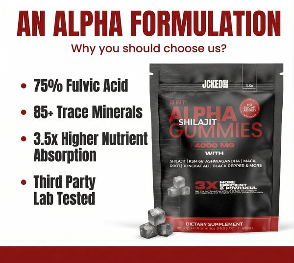 10-IN-1 Alpha Shilajit Gummies (Final Call)