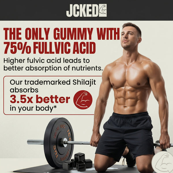 10-IN-1 Alpha Shilajit Gummies (Final Call)