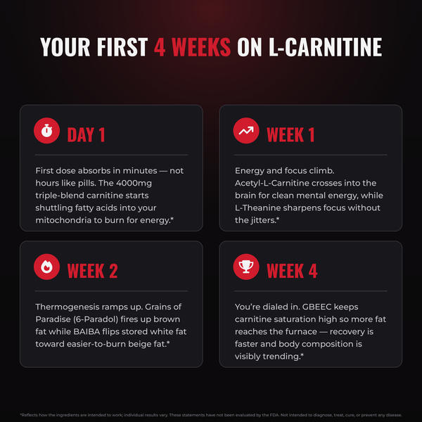 Liquid L-Carnitine 4000MG + Liquid Pryme