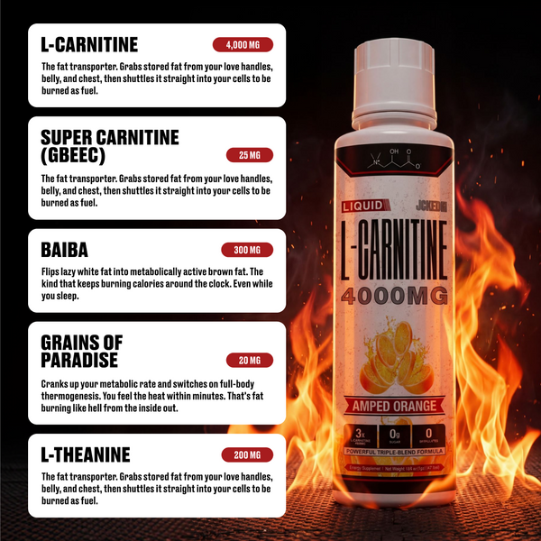 Liquid L-Carnitine 4000MG + Liver Guard